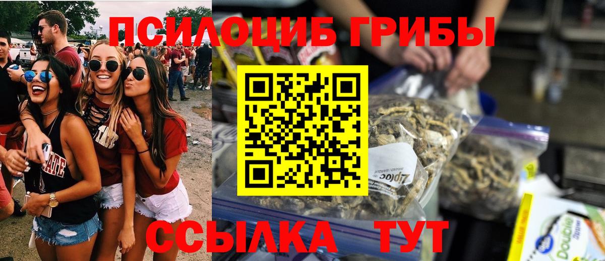 Псилоцибиновые грибы прущие грибы  Галлюциногенные грибы прущие грибы  Губаха  Вход с VPN 