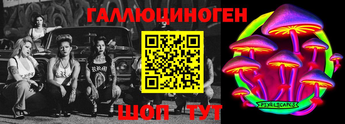 Галлюциногенные грибы Psilocybine cubensis Губаха